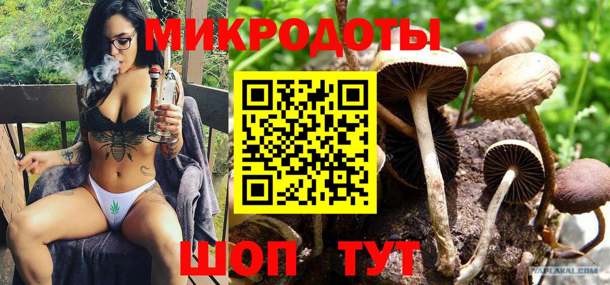 Галлюциногенные грибы MAGIC MUSHROOMS  Галлюциногенные грибы прущие грибы  магазин    Россошь  Вход с VPN 